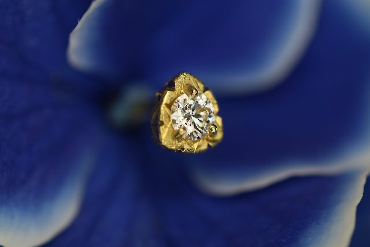 アクセサリー mia MIA – dee doo dah