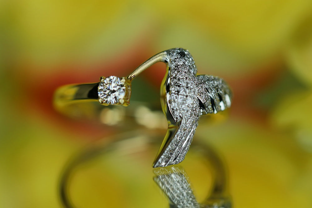 Hummingbird – quarantotto