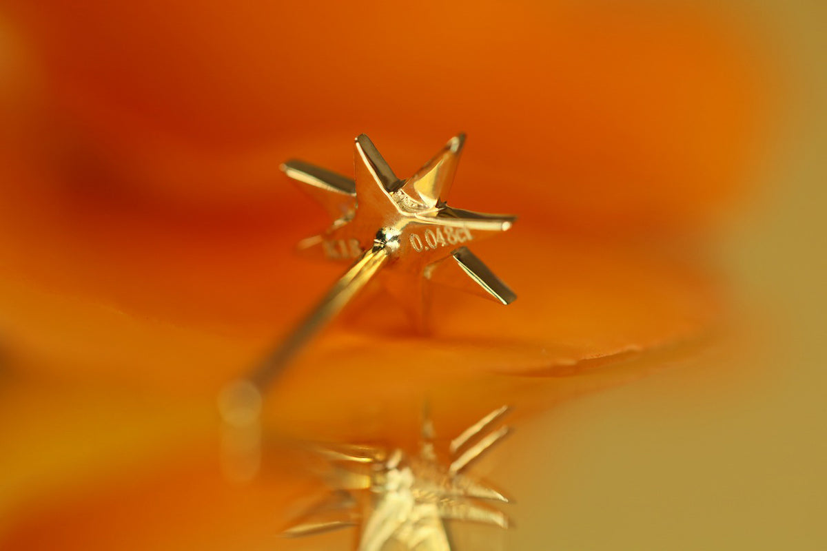 Stella – quarantotto