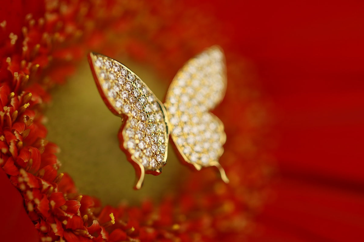 Ulysses L – quarantotto