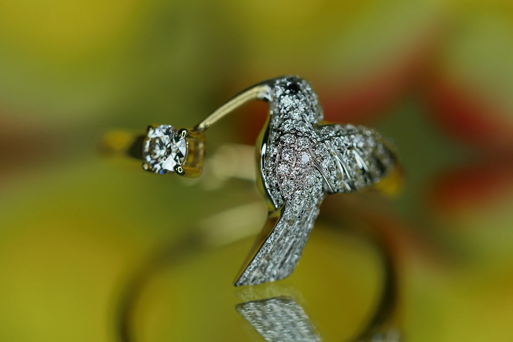 Hummingbird – quarantotto