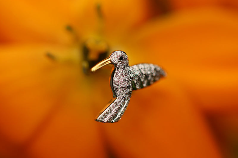 Hummingbird – quarantotto