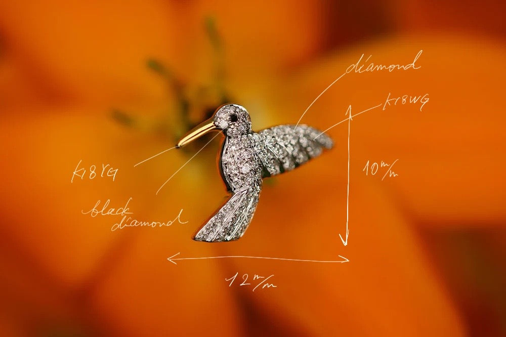 Hummingbird – quarantotto