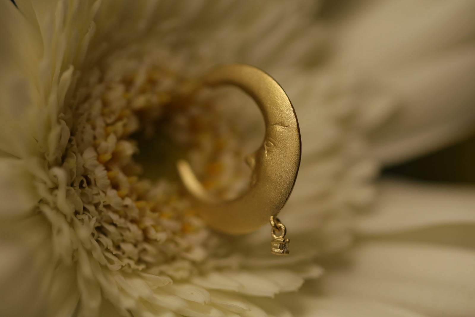 Paper Moon – quarantotto