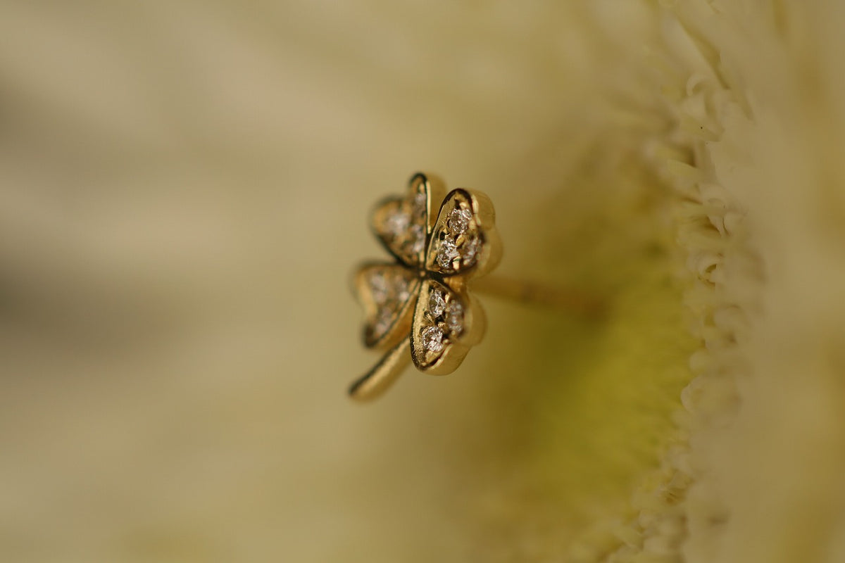 Quadrifoglio – quarantotto