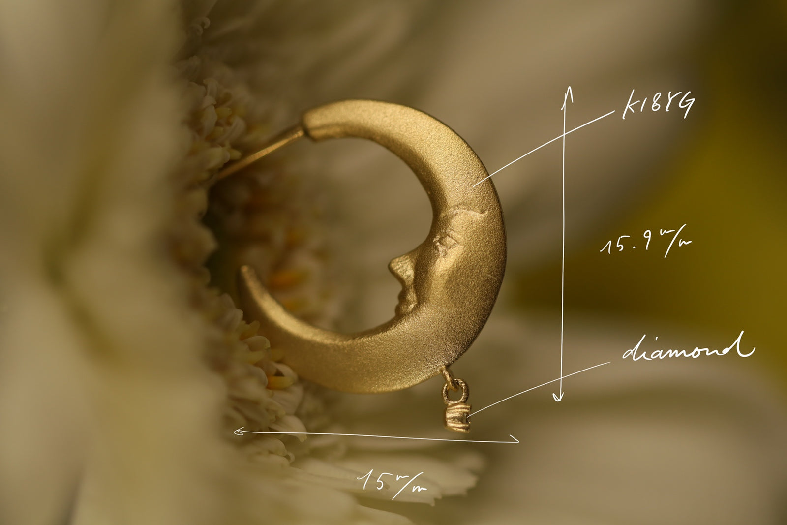 r*a様 クアラントット　quarant'otto Paper Moon 皿 r*a様 クアラントット quarant'otto Paper Moon 皿 r*a様