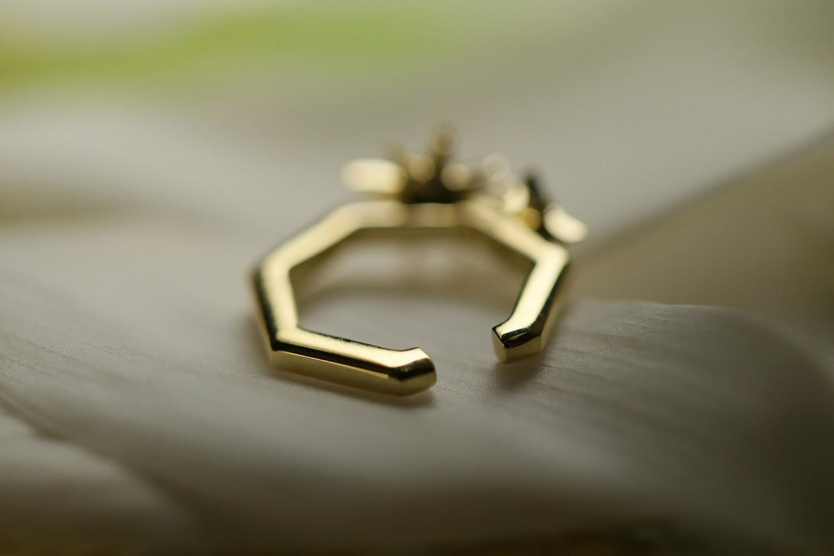 Stella – quarantotto