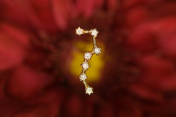 巨大的奥沙利文（Orsa maggiore