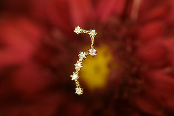 巨大的奥沙利文（Orsa maggiore