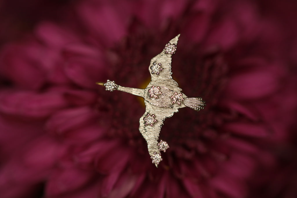 Cigno – quarantotto