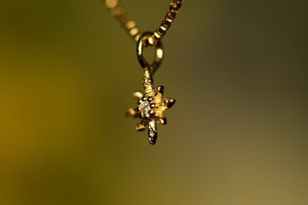 颠沛流离的斯特拉(Stella invernale)